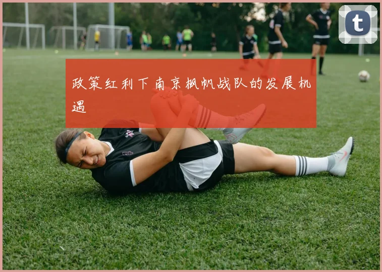 政策红利下南京枫帆战队的发展机遇