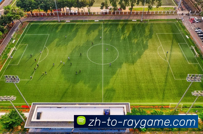 雷竞技官网平台生态图