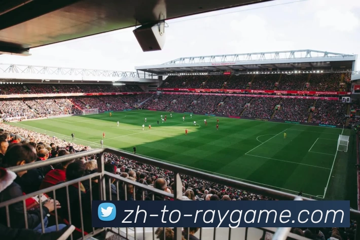 雷竞技官网全站App